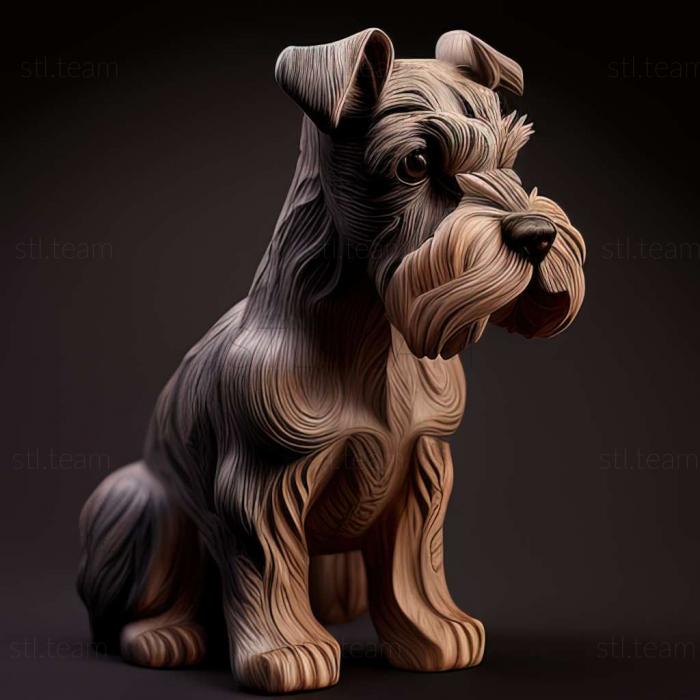 Zwergschnauzer dog